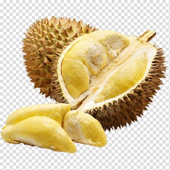 Thai cuisine Crisp Durio zibethinus Fruit Food, tropical fruit transparent background PNG clipart