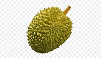 Thai cuisine Durio zibethinus Fruit Clip art - Durian 