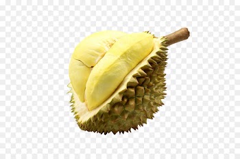 Thai cuisine Durio zibethinus Fruit Singaporean cuisine Food - Durian 