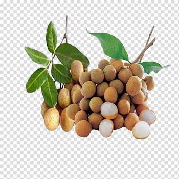 Thai cuisine Longan Tropical fruit Rambutan, others transparent background PNG clipart