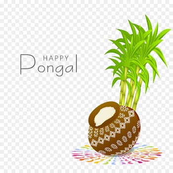 Thai Pongal Festival Makar Sankranti Stock photography - India 
