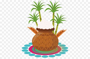 Thai Pongal Wedding invitation Wish Happiness Greeting card - Vector painted a jar filled with rice 