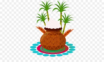 Thai Pongal Wish Makar Sankranti Greeting & Note Cards - ugadi 