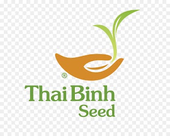 Thaibinh Seed Joint Stock Corporation Logo Rice Brand Font -  