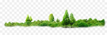 Thailand Tree Sufficiency economy Forest - Corner forest-free buckle material 