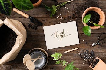 Thank you note in houseplant background | Free stock photo | High Resolution image