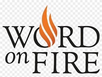 Thanks For Reading Bishop Barron's Lenten Gospel Reflections - Thanks For Reading Bishop Barron's Lenten Gospel Reflections