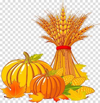 Thanksgiving Autumn Turkey , Thanksgiving Pumpkin transparent background PNG clipart