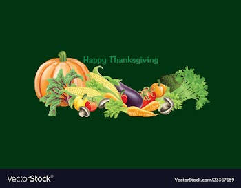 Thanksgiving banner vector image