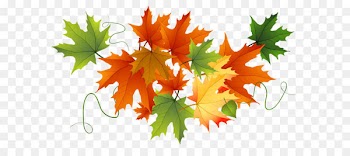 Thanksgiving Clip art - Autumn Transparent Leaves 
