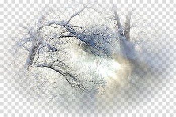 Thanksgiving Day Desktop Winter Christmas, others transparent background PNG clipart