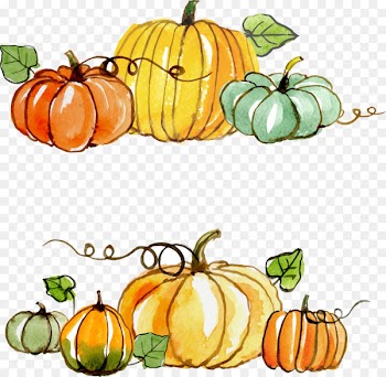 Thanksgiving Gratitude Gift Clip art - Thanksgiving pumpkin painted material 