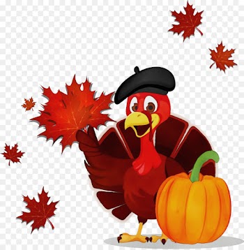 Thanksgiving, Greeting Note Cards, Turkey Meat, Cartoon PNG