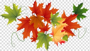 Thanksgiving Pumpkin , flaming maple leaves transparent background PNG clipart