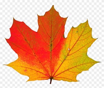 Thanksgiving Transparent Png - Fall Leaf