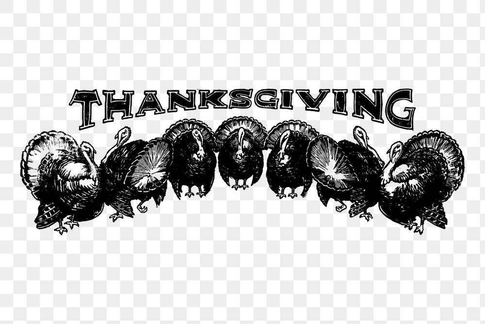 Thanksgiving turkeys png typography sticker, | Free PNG - rawpixel