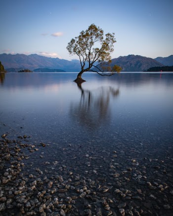 That Wanaka Tree reflected in the calm waters of early morning in New Zealand. Another shot of the famous tree, this one a wide angle and shot much earlier in the morning than my previous post