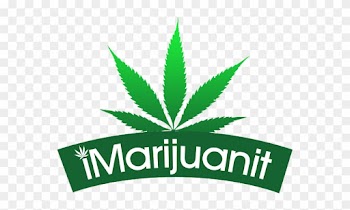 The 7th Floor Da Buddha Vaporizer Is A Popular Choice - Marijuana Leaf