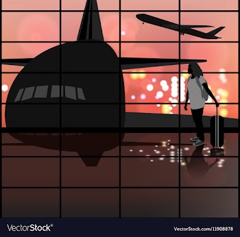 The Airport vector image