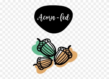 The Animal Feeds On Acorns And Other Natural Resources - Au Pair Life Women's Tees