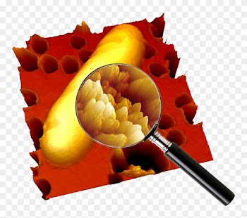The Anti-fungal Medication Was Particularly Potent - Bacteria