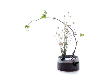 The Art Of Ikebana Flower Arranging
