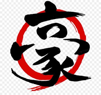 The Art of Peace Aikido Goshinkai Sunnybank Martial arts Dojo - karate 