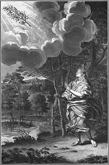 The Awake Tree – The End Time