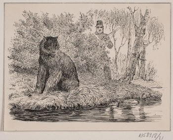The bear by Johann Adolf | Free Photo - rawpixel