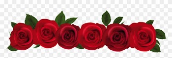 The Benefits And Characteristics Of Popular Ingredients - Red Rose In Png