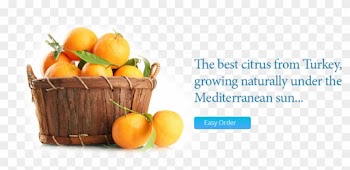 The Best Citrus From Turkey, Orange, Lemon, Mandarin - Citrus