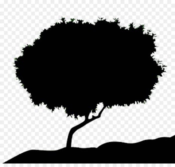 The Best of Kirpal Singh Facebook Very Solid Adventures of Handsome Hock and Champion Poh Photography - Black silhouettes of trees 