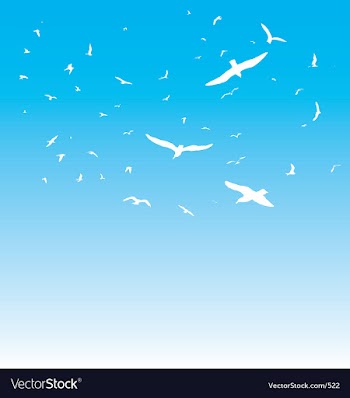 The birds vector image