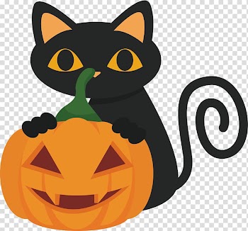 The Black Cat Whiskers , Black cat playing pumpkin transparent background PNG clipart