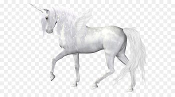 The Black Unicorn Horse Clip art - Fantasy Angel Unicorn PNG Clipart Picture 