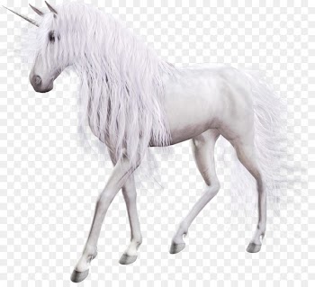 The Black Unicorn Horse Pegasus Clip art - unicorn 