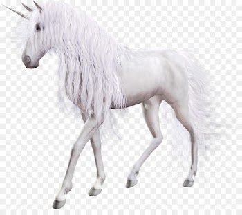 The Black Unicorn Horse Pegasus - unicorn 