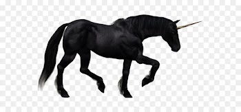 The Black Unicorn Horse Pegasus - Unicorn PNG 