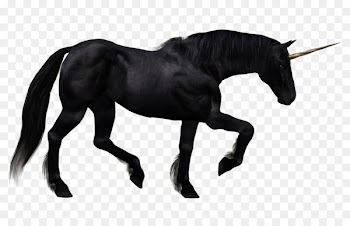 The Black Unicorn Horse - unicorn 