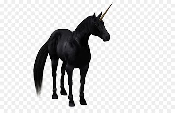 The Black Unicorn Horse - Unicorn background 