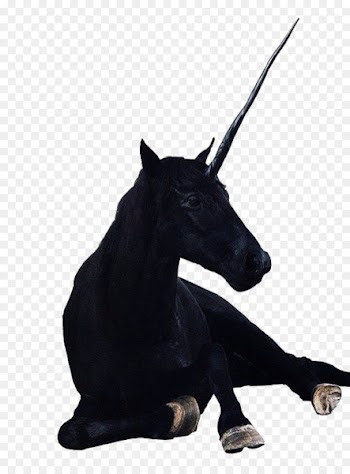 The Black Unicorn Legendary creature Horse Indus Valley Civilisation - unicorn 