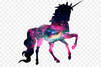 The Black Unicorn T-shirt Graphics Wall decal - unicorn 