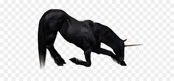 The Black Unicorn Wallpaper - Unicorn PNG 