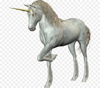 The Black Unicorn White - White Unicorn 