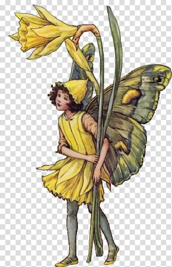 The book of the flower fairies Flower fairies of the summer A Flower Fairy Alphabet, Fairy transparent background PNG clipart