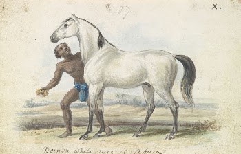 The Bornou Race by Charles | Free Photo - rawpixel