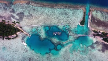 The bridge of love Tidung island, Indonesia
Connecting two islands - Tidung  besar & Tidung kecil.