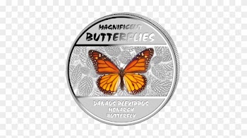 The Butterflies Are Glowing Under Ultra Violet Light - Danaus Plexippus V Baby Blanket