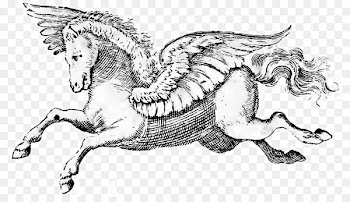 The cabala of Pegasus Greek mythology Zeus Horse - horse 