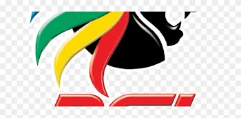 The Castle Lager Premier Soccer League Action Takes - Psl Log 2017 And 2018